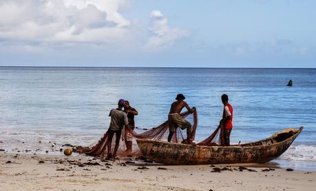 LUNA DI MIELE: SEYCHELLES [ PICCOLE GUIDE IN FOTOGRAFIE ®]