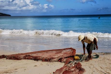 LUNA DI MIELE: SEYCHELLES [ PICCOLE GUIDE IN FOTOGRAFIE ®]