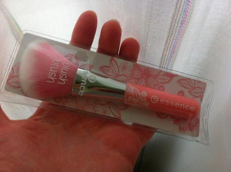 Acquisti del giorno: blush CINDERELLA e blush brush essence