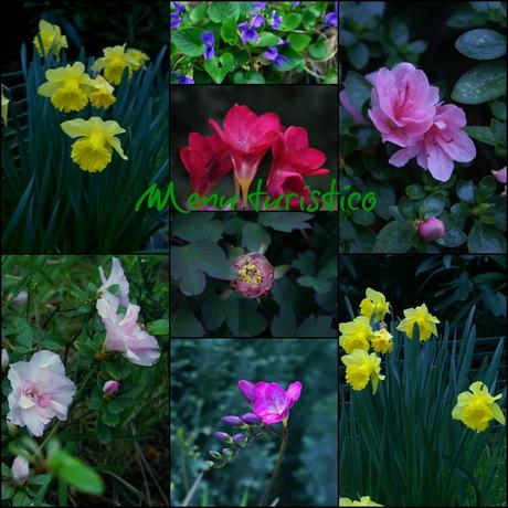 Anelli di totani, con ceci e bietole e la primavera in arrivo...