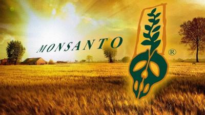 USA - Monsanto rischia il blocco i parassiti sono diventati immuni