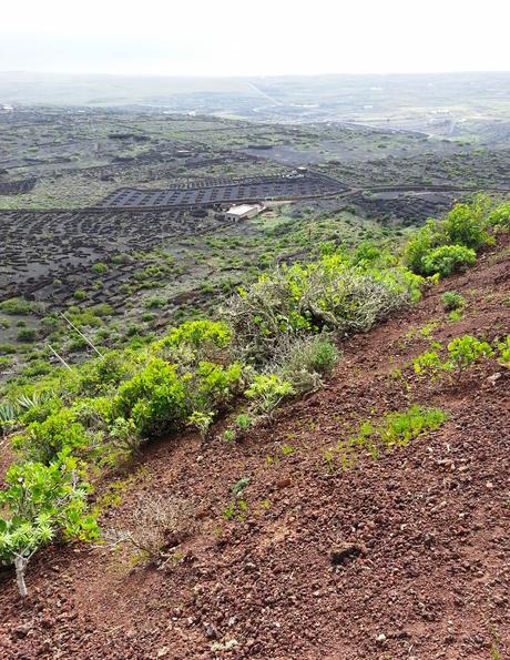 Lanzarote: Viaggio nel trapassato remoto (Prima parte)