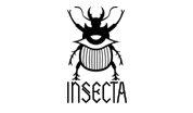 Insecta Vegan Shoes