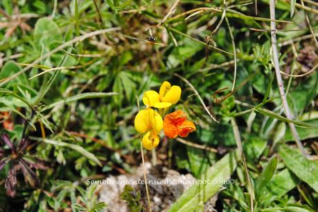 Arriva la Primavera!