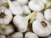 Come coltivare l’aglio vaso