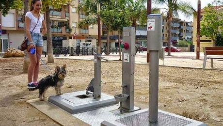 Toilette per Cani in un Parco spagnolo