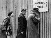 Terre Verdiane: dietrologie affini