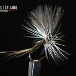 Intervista a Diego Riggi di Dressing Italiano, il blog dei fly tyier di casa nostra mosca1