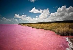 lago-retba-senegal