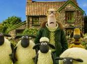 Shaun Vita Pecora Film