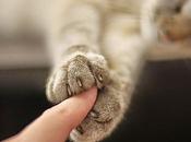 Benefici dell'Aloe nostri Amici Animali