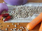 Zuppa lenticchie carote zenzero coriandolo