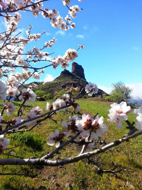 Gran Canaria: Per chiudere il cerchio