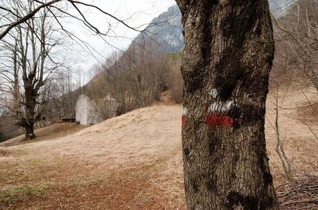 LA PUNTA DI FURCE DIAME e la crema pasticcera .....