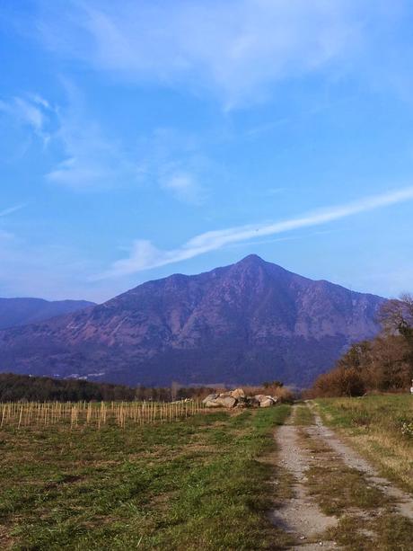 Monte Musiné - I Viaggiatori Ignoranti