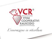 Vitigni resistenti lobby europee