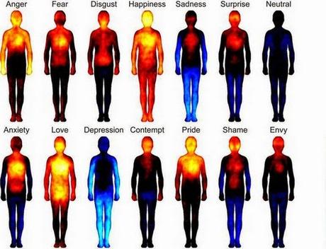 Ogni emozione influisce sul nostro organismo determinandone lo stato di salute