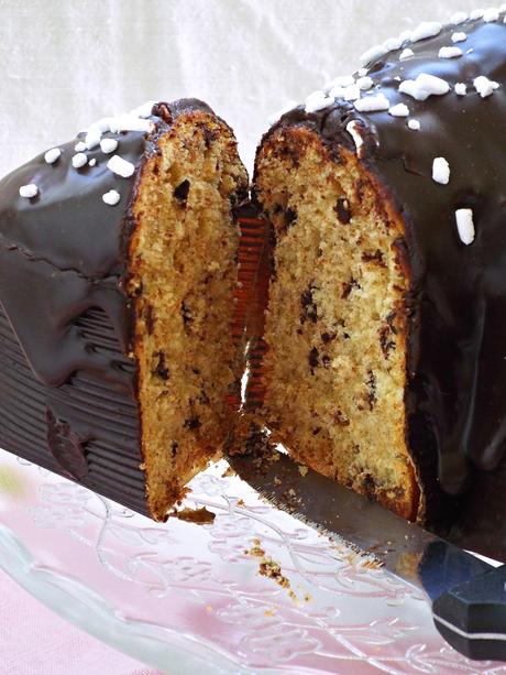 Colomba al cioccolato con lievito madre