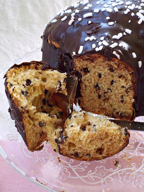 Colomba al cioccolato con lievito madre