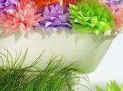 Vetrine primaverili