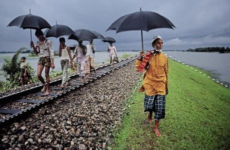 stevemccurry_ilovegreen_42