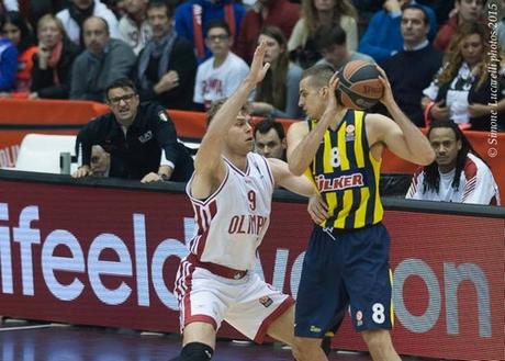 Nemanja Bjelica, Fenerbahce