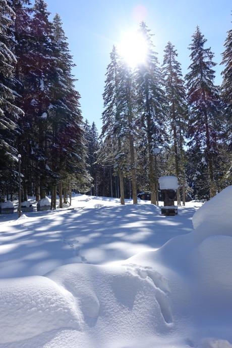 Parco Nazionale del Durmitor: meraviglia naturale del Montenegro