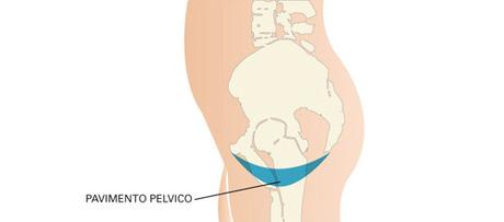 PAVIMENTO_PELVICO[1]