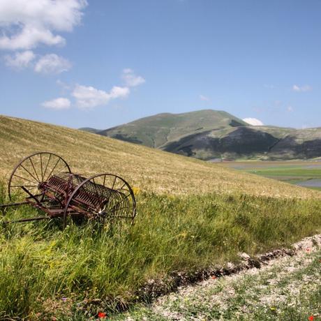 In silenzio dentro un acquerello: la fioritura di Castelluccio di Norcia