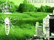 Green Island Alveari Urbani: Milano giorni miele