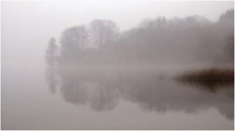 VisioniDai colli scoscesiLe brume incantateRaggiunsero il...