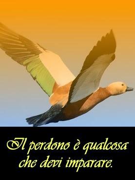 Puoi scappare dal mondo che vedi, l'unica cosa di cui hai bisogno di fare è vedere il problema tale e come è. Parte 1.