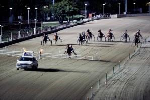 Ippodromo Vinovo - Foto Massimo Pinca