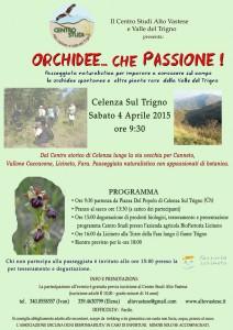 orchidee_che_passione_celenza_sul_trigno_4_aprile_2015