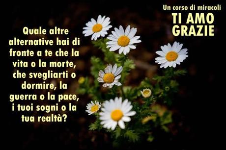 Puoi scappare dal mondo che vedi, l'unica cosa di cui hai bisogno di fare è vedere il problema tale e come è. Parte 3.