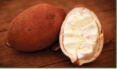 Il Burro di Cupuaçu, uno straordinario complemento cosmetico