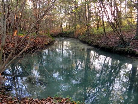 visitare le sorgenti del sile