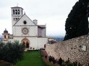 foto della settimana: ricordi Assisi domenica delle palme