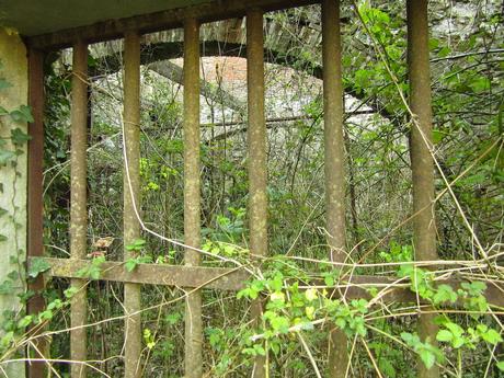 Lieux solitaires // la sorcière à l'intérieur du moulin abandonné