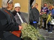 POSITANO: Benedizione delle palme. 2015