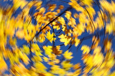 Blue and yellow swirls by Kerri Lee Smith, on Flickr