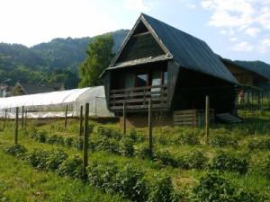 PECORANERA - L'ecovillaggio di Devis Bonanni cerca aspiranti contadini