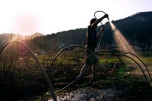 PECORANERA - L'ecovillaggio di Devis Bonanni cerca aspiranti contadini