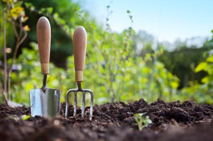 Aprile: i lavori di questo mese in giardino