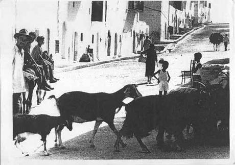 Mario Giacomelli e la Puglia