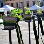 Turista…a casa mia: un pomeriggio a UDINE