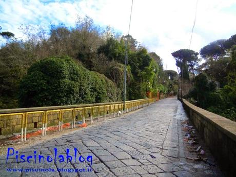 Colline in Fiore: Passeggiate primaverili per i luoghi più belli e suggestivi di Napoli