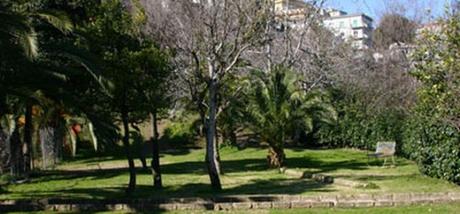 Colline in Fiore: Passeggiate primaverili per i luoghi più belli e suggestivi di Napoli