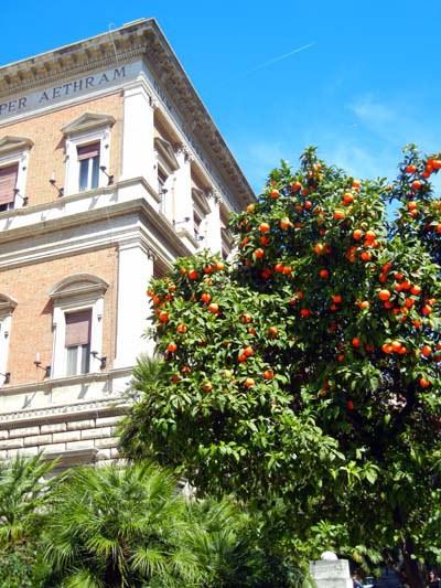 bici, roma, viaggiandovaldi