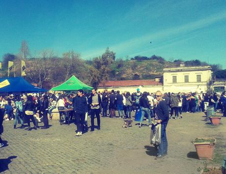 viaggiandovaldi,Street Food Truck, CAE, Roma